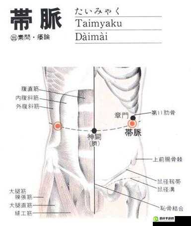 女性私密部位小穴 p相关的探讨与解析