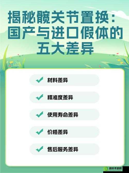 国产与进口 X7X7X7 槽比较-两者差异及各自优势分析