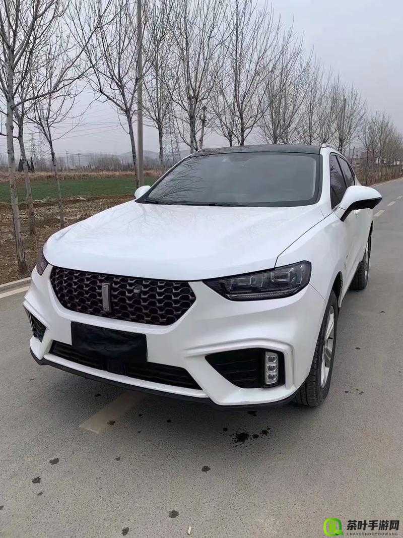 Wey VV5 国产 SUV 魅力视频展现独特风采